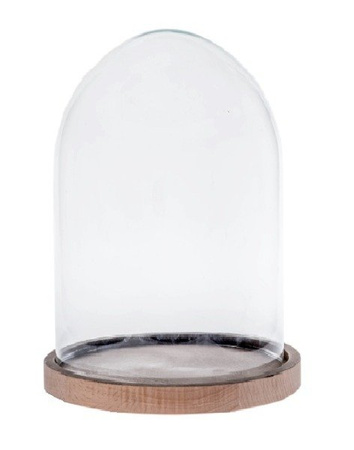 Glass cover with Woodem beech stand W-315E H:30cm D:19cm