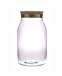 Glass terrarium + cork  W-726 H:23cm D:11,5cm