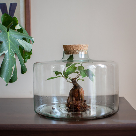 Glass jar vase W-754B+cork H:15cm D:19cm