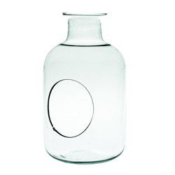 Glass terrarium W-467+side hole H:24,5cm D:14cm