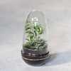 Glass terrarium egg W-542A+W-542 side hole H:25,5cm D:12,8cm SALE