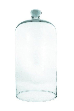 Glass dome W-231C H:28cm D:19cm