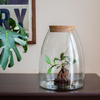 Glass vase W-440D+cork H:30cm D:23cm