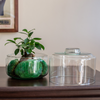Two-piece terrarium glass  W-589+W-590 H:22cm D:19cm
