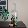 Terrarium glass W-504A side hole+cork H:47cm D:15cm