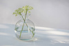 Bud vase W-361B H:10,5cm D:10cm