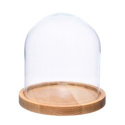 Glass dome with wooden beech stand W-315H