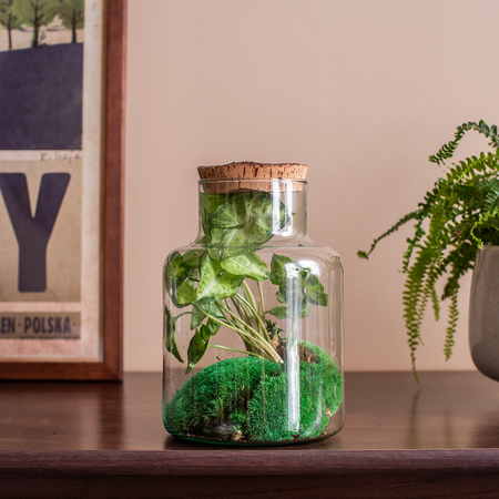 Glass jar vase W-395K2 + bark cork H:20cm D:14,5cm