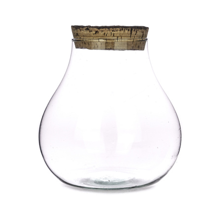 Glass terrarium W-594+bark cork H:19cm D:17cm