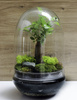 Glass terrarium egg  W-527A+W-527 side hole H:30cm D:18,5cm 