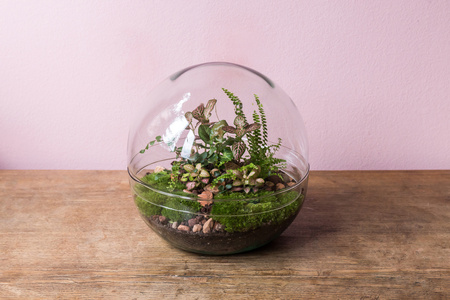 Two piece terrarium glass sphere W-610+W-611 H:19,5cm