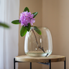 Glass vase W-557 H:20cm D:18cm