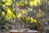 Glass terrarium vase  W-759+cork H:30cm D:17cm SALE