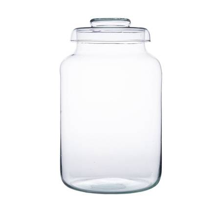 Glass jar vase H:33cm D:19cm W-395C1+glass cover