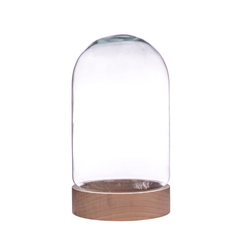 Glass cover with wooden beech stand W-580B H:27cm D:17cm